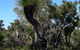 Eagle Bay House - thumb 36