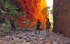 Bungle Bungle Wilderness Lodge - thumb 13