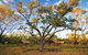 Bungle Bungle Wilderness Lodge - thumb 11