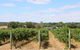Burton Farmhouse - thumb 11