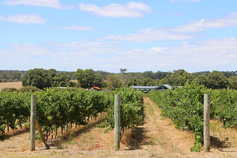 Burton Farmhouse - Holiday Byron Bay 11