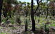 Eagle Bay House - thumb 27