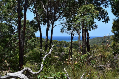 Eagle Bay House - Holiday Byron Bay 28