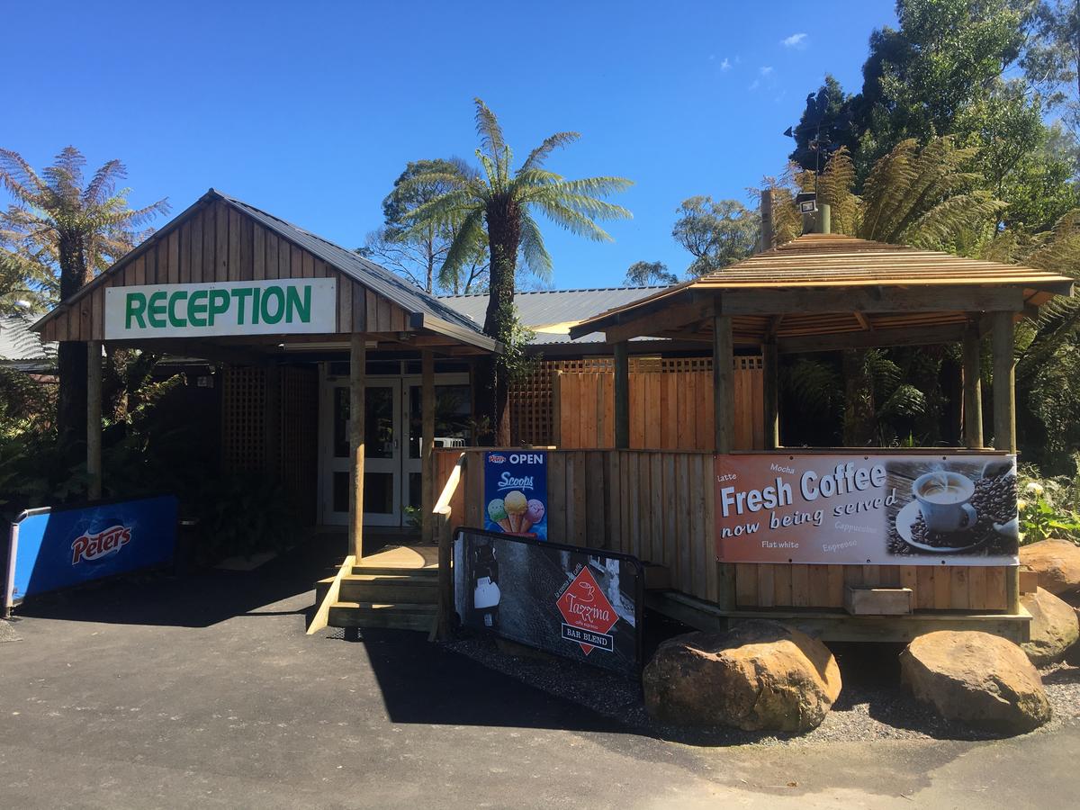 Tullah TAS Holiday Byron Bay