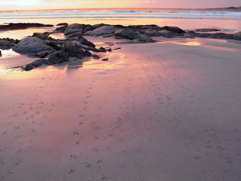 Beachend Bicheno - Holiday Byron Bay 2
