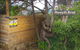 Beachend Bicheno - thumb 1