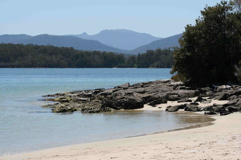 Driftwood - Holiday Byron Bay 14