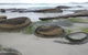 Suntrap Cove Bicheno - thumb 6