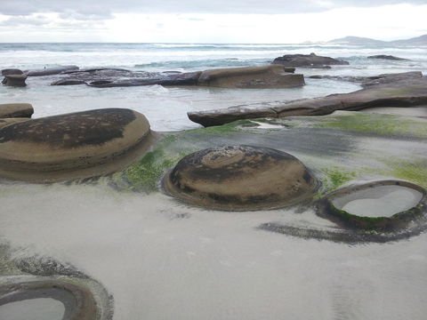 Suntrap Cove Bicheno - Holiday Byron Bay 6