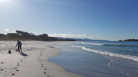 Suntrap Cove Bicheno - Holiday Byron Bay 5