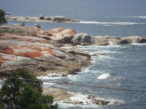 Suntrap Cove Bicheno - Holiday Byron Bay 28