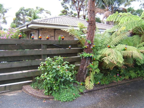 Ocean Drive Apartments - Holiday Byron Bay 3