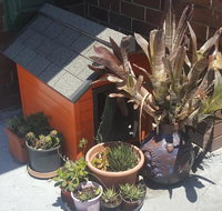 Orange Grove Hotel - Holiday Byron Bay