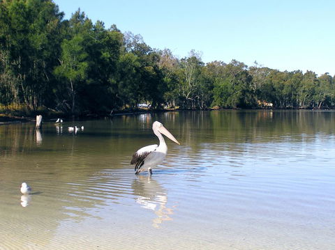 Paradise Bungalow Waterfront - Holiday Byron Bay 2