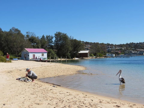 Penguin Mews - Holiday Byron Bay 1