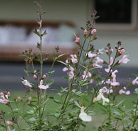 Serendipity on Allyn - Holiday Byron Bay