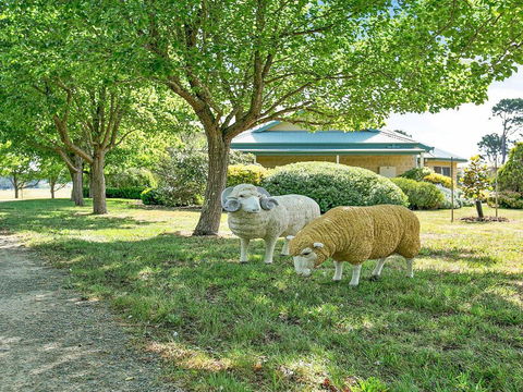 Sinden Park - Garden, Swimming Pool, Rural Vistas - Holiday Byron Bay 2