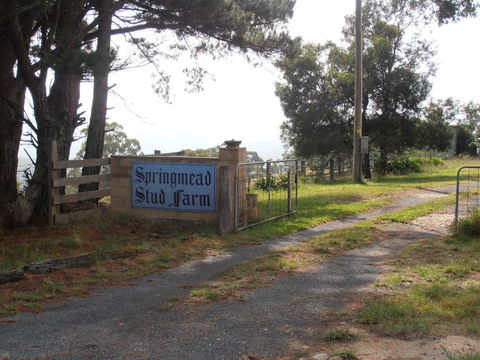 Springmead B&B - Holiday Byron Bay 2