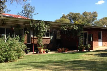 Sue's Sanctuary - Holiday Byron Bay 3