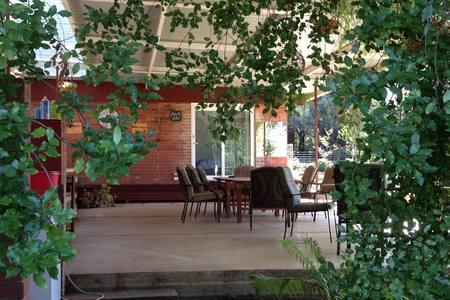 Sue's Sanctuary - Holiday Byron Bay 1