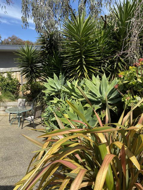 Surf Coast Haven - Holiday Byron Bay 3