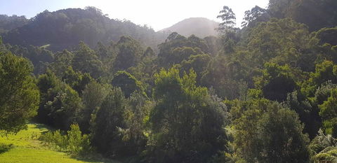 Tall Trees Retreat - Holiday Byron Bay 1