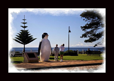 Penguin Beachfront Apartments - Holiday Byron Bay 13