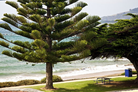 Penguin Beachfront Apartments - Holiday Byron Bay 9