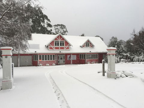 Cradle Forest Inn - Holiday Byron Bay 0