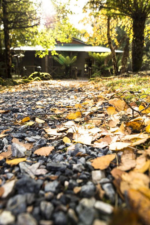 Cradle Forest Inn - Holiday Byron Bay 35