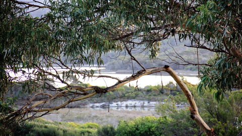 KINGFISHER COTTAGE Beachfront At The Binalong Bay - Holiday Byron Bay 17