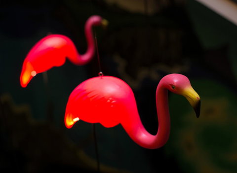 Alabama Hotel Hobart - Holiday Byron Bay 42