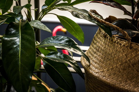 Alabama Hotel Hobart - Holiday Byron Bay 25