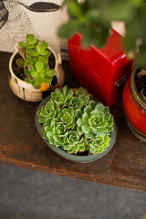 Alabama Hotel Hobart - Holiday Byron Bay 39