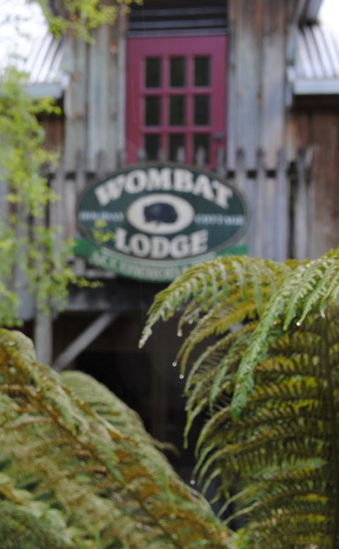 The Wombat Cottage - Holiday Byron Bay 0