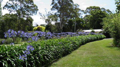 Tamar River Retreat - Holiday Byron Bay 11