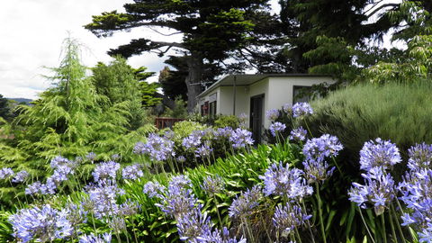 Tamar River Retreat - Holiday Byron Bay 28