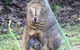 Tamar River Retreat - thumb 36