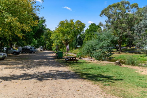 Bright Riverside Holiday Park - Holiday Byron Bay 19
