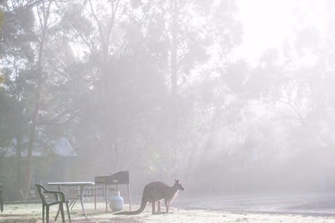 Gariwerd Motel - Holiday Byron Bay 18