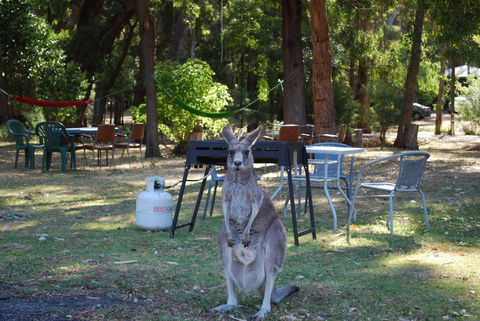 Gariwerd Motel - Holiday Byron Bay 26