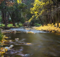 Goldfield Holiday Units - Holiday Byron Bay