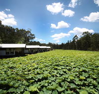 The Boathouses at Leaves  Fishes - Holiday Byron Bay