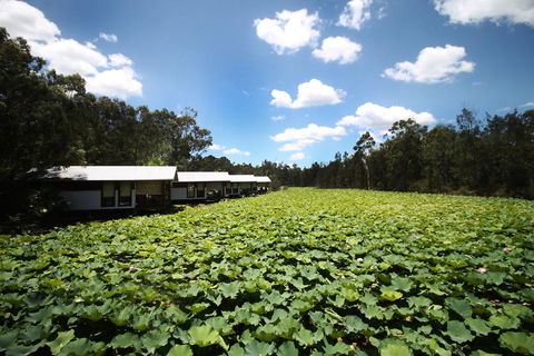 The Boathouses At Leaves & Fishes - Holiday Byron Bay 0