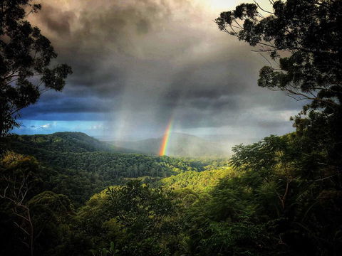 The Den Of The Treehouse, KINABALU Farm - Holiday Byron Bay 0