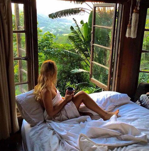 The Den Of The Treehouse, KINABALU Farm - Holiday Byron Bay 3