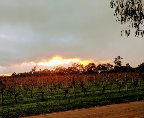 The Grove Distillery & Brewery - Holiday Byron Bay 2
