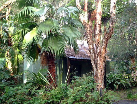 The Oasis At One Mile Beach - Holiday Byron Bay 0