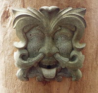 The Tree House - Holiday Byron Bay