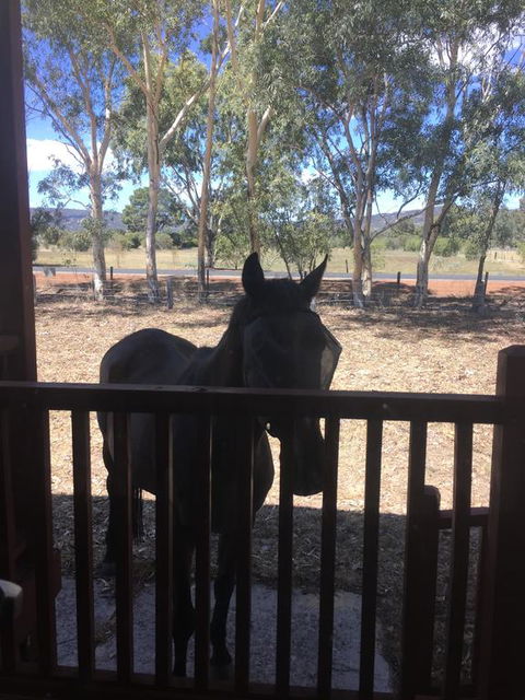 Thie My Chree Retreat - Holiday Byron Bay 3
